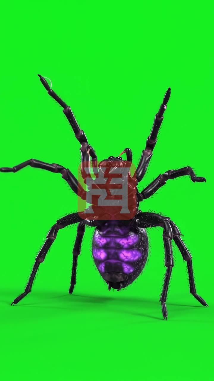 Spider Queen Descent — watermarked preview